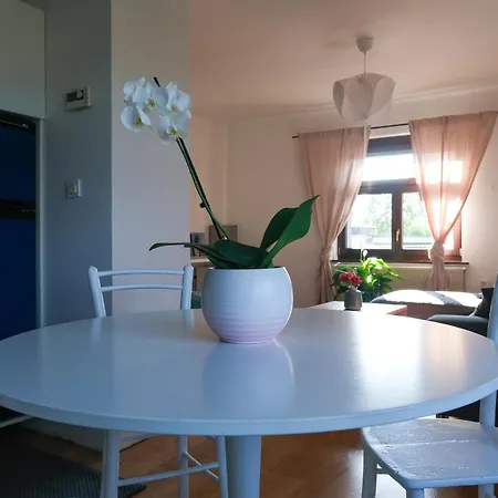 Hisa Breza - Apartman